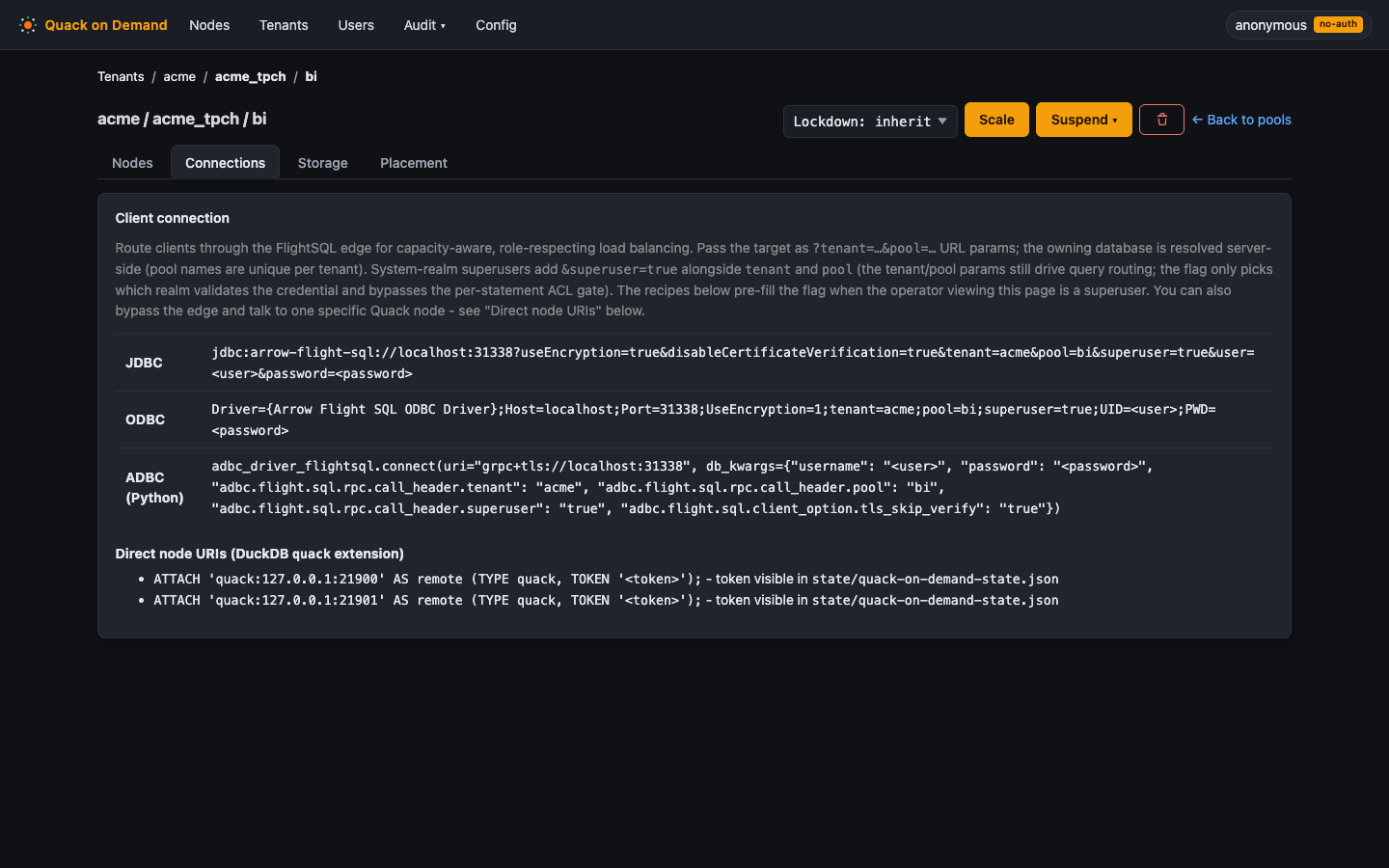 The pool Connections tab with client connection strings