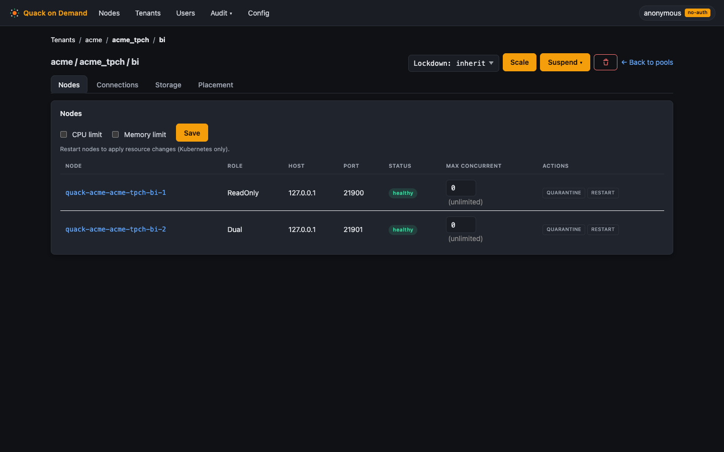 The pool detail page on the Nodes tab