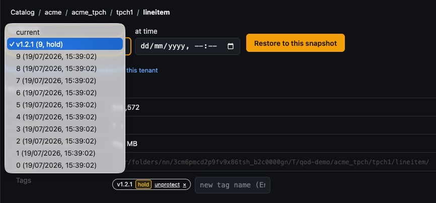 Snapshot browser with history timeline